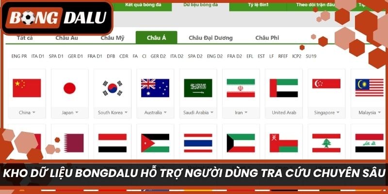 Kho dữ liệu Bongdalu hỗ trợ người dùng tra cứu chuyên sâu